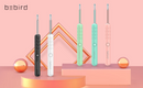 Bebird 蜂鳥智能可視採耳器 R3