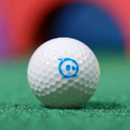 Sphero Mini 迷你機器球 高爾夫球版