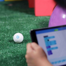 Sphero Mini 迷你機器球 高爾夫球版