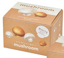 Seishin Mushroom 家庭蘑菇栽培套裝