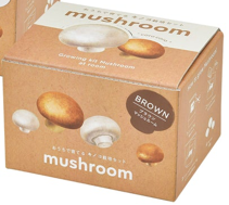 Seishin Mushroom 家庭蘑菇栽培套裝