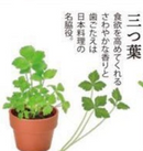 Green Capsule Herbs 種植膠囊 藥味 GD-926