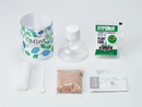 Seishin (GD-863) Green Pet Herb 小盆栽