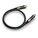 FiiO LR-RCA1 RCA數位音訊同軸線
