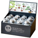 SeiShin GD-954 Growing Capsule-Bonsai Collection 種植膠囊豆盆景