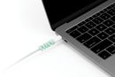 BlueLounge CableCoil Mini 電線保護套