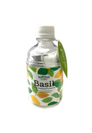 Seishin (GD-863) Green Pet Herb 小盆栽
