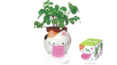 Seishin  Peropon PAPA (GD-669)  自動吸水小盆栽