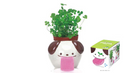 Seishin  Peropon PAPA (GD-669)  自動吸水小盆栽