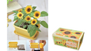 Seishin Enjoy Plants Flower 自家種植‧園藝家 GD-932