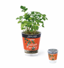 Seishin Fresh Herb (GD363) 自動吸水小盆栽
