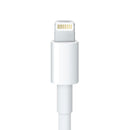 Apple Lightning 至 30 針轉換器 (0.2 米) (平行進口)
