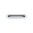 Apple Lightning 至 30 針轉換器 (0.2 米) (平行進口)