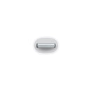 Apple Lightning 至 30 針轉換器 (0.2 米) (平行進口)
