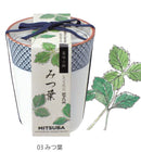 SEISHIN GD-758 和式茶杯草藥配料盆栽