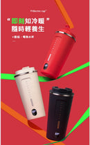 Nathome - 瑞典 多功能萬用養生杯 保溫 旅行 自動斷電 NKB01