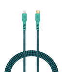 Hedonic Type C to Lightning 充電傳輸線