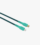Hedonic Type C to Lightning 充電傳輸線