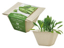 Seishin GD-953 Bagass Green ECO 甘蔗渣環保紙盆系列