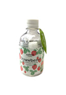 Seishin (GD-863) Green Pet Herb 小盆栽