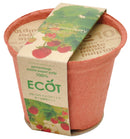 Seishin  100%環保‧日本進口-ECOT 再生紙花盆 (大盆 GD-411 /小盆 GD-410)