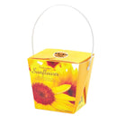 Seishin Floral Container Smile Sunflower 太陽花盆栽 (GD-434)