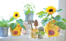 Seishin Floral Container Smile Sunflower 太陽花盆栽 (GD-434)
