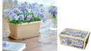 Seishin Enjoy Plants Flower 自家種植‧園藝家 GD-932