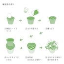 SeiShin GD-923  Happy Yellow Clover  黃色三葉草