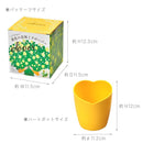 SeiShin GD-923  Happy Yellow Clover  黃色三葉草