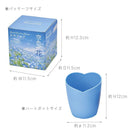 Sky Blue Flower - Nemophila | 天空の花 - 粉蝶花