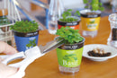 Seishin Fresh Herb (GD363) 自動吸水小盆栽