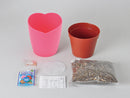 Seishin GD-796 Strawberry Bloom pink flowers - 士多啤梨盒子