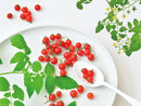 Seishin GD-903 MICRO TOMATO -  微型小蕃茄盒子