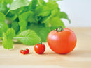 Seishin GD-903 MICRO TOMATO -  微型小蕃茄盒子