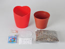 Seishin GD-903 MICRO TOMATO -  微型小蕃茄盒子