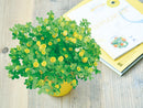 SeiShin GD-923  Happy Yellow Clover  黃色三葉草