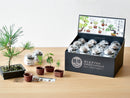 SeiShin GD-954 Growing Capsule-Bonsai Collection 種植膠囊豆盆景