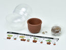 SeiShin GD-954 Growing Capsule-Bonsai Collection 種植膠囊豆盆景