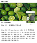 Capdase eoDrive 汽車香薰 車載智能超聲波香薰機 (套裝)