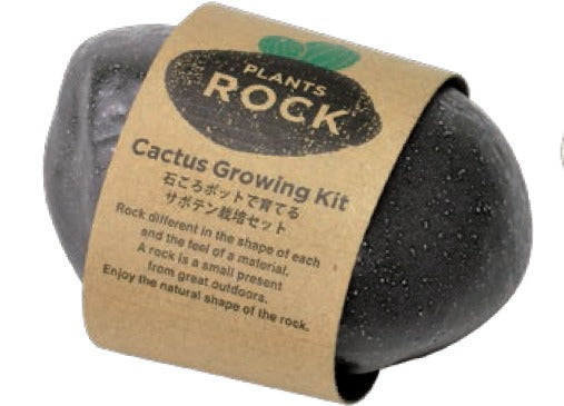 Seishin Plants Rock Cactus 石頭造型陶瓷盆栽
