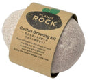 Seishin Plants Rock Cactus 石頭造型陶瓷盆栽